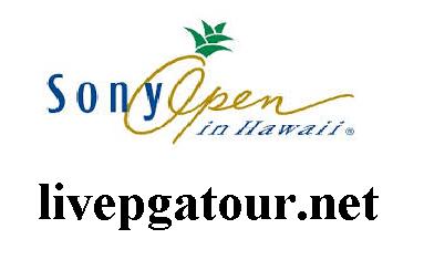 sony open hours